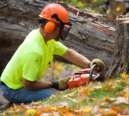 tree services Durham